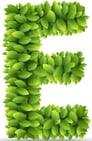 stickers-letter-e-vector-alphabet-of-green-leaves